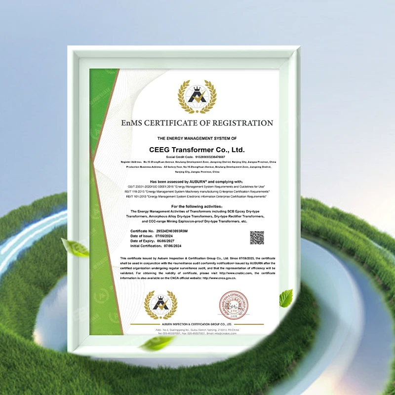 CEEG Transformer CO.,Ltd. Successfully Passes ISO50001 Energy Management System Certification